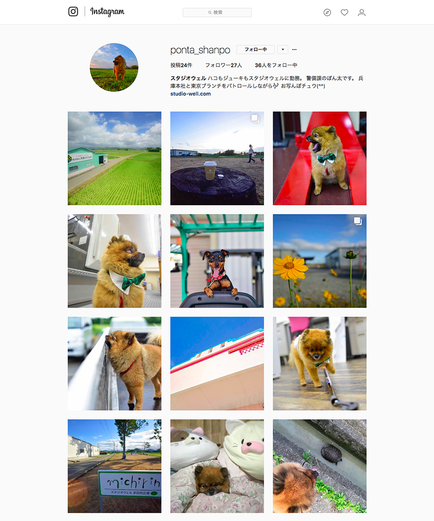 公式インスタグラムの写真